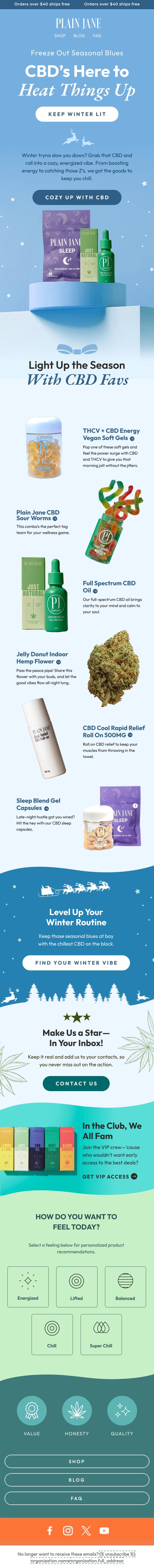 Plain Jane winter CBD campaign email